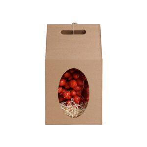 PIENNOLO Antichi Pomodori del Monte Somma - Radici